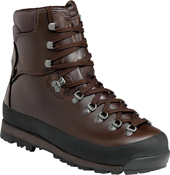 Ботинки JAGER LOW II GTX (EU 44.5 UK 10 СМ 29; brown)